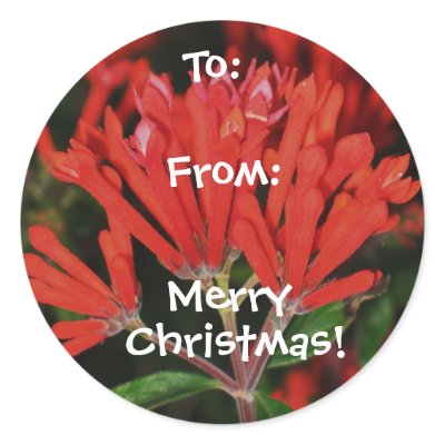 Xmas Gift Tag Sticker by ggbythebay