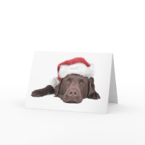Xmas Labrador Greeting Card