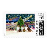 Xmas Magic-3Shelties 3Sable-Wht postage