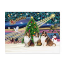 Xmas Magic-3Shelties 3Sable-Wht postcards by ChristmasMagicDogs Xmas Magic-3Shelties 3Sable-Wht postcards