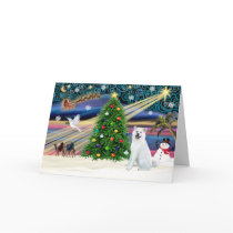 Xmas Magic-Akita White1 cards by ChristmasMagicDogs Xmas Magic-Akita White1 cards