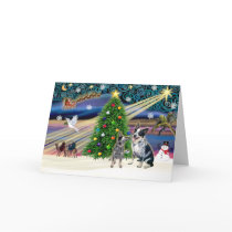 Xmas Magic-Aussie Cattle Dog pair cards by ChristmasMagicDogs Xmas Magic-Aussie Cattle Dog pair cards