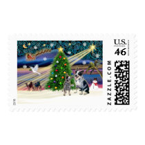 Xmas Magic-Aussie Cattle Dog pair Stamps