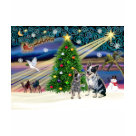 ladies_casual_tshirt - Christmas Magic with two Australian Cattle Dogs shows the star of Bethlehem guiding three wise men while Santa and his reindeer fly into the night and a dove of peace hovers in the star light.  A Christmas tree and snowman add to the symbols of the holiday season.