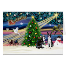 Xmas Magic-BostonTerrier Pair Greeting Card