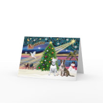 Xmas Magic-Bull Terrier Pair cards