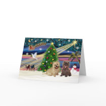 Xmas Magic-Cairn Pair-wheatn+brindle cards