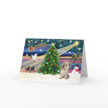 Xmas Magic-Cairn wheaten cards