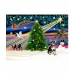 Xmas Magic-Chihuahua Blue-tan t-shirts