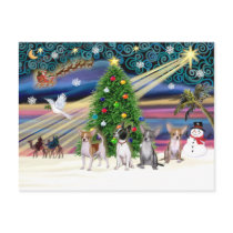 Xmas Magic-Chihuahuas (four) postcards by ChristmasMagicDogs Xmas Magic-Chihuahuas (four) postcards