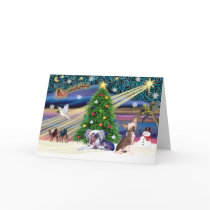 Xmas Magic-Chinese Crested Pair cards