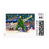 Xmas Magic-Chinese Crested Pair Stamp