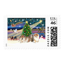 Xmas Magic-Chow  Pair postage