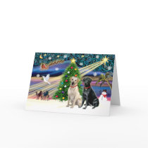 Xmas Magic-Lab Pair-Yell-Blk cards