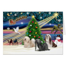 Xmas Magic-Lhasa Apso-Trio Card