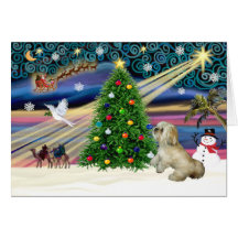 Xmas Magic-Lhasa-Roxy Greeting Card