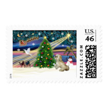 Xmas Magic-Lhasa-Roxy Stamps