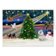 Xmas Magic-Maltese-cutie Greeting Cards