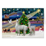 Xmas Magic - Mama Llama and Baby Cards