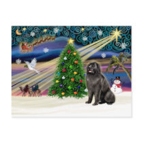Xmas Magic-Newfie blksit postcards