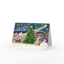 Xmas Magic-Norfolk T2 cards by ChristmasMagicDogs Xmas Magic-Norfolk T2 cards