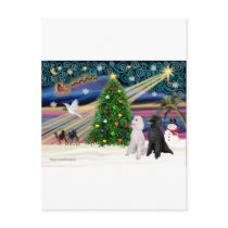 XMAS MAGIC-Poodle ST-Pair2 postcards by ChristmasMagicDogs XMAS MAGIC-Poodle ST-Pair2 postcards