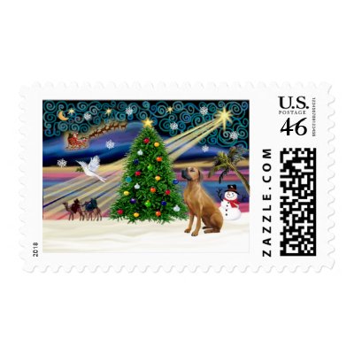 Xmas Magic-Rhodesian Ridgeback-lkup Stamp