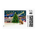 Xmas Magic-Rhodesian Ridgeback-lkup postage