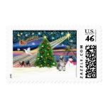 Xmas Magic-Schnauzer-4-Viv postage