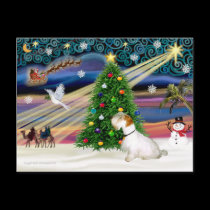 Xmas Magic - Sealyham Terrier (L2) postcards