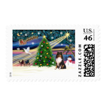 Xmas Magic-SHELTIE-Tri postage