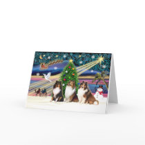 Xmas Magic / Shetland Sheepdogs (3) Greeting Card