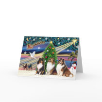 Xmas Magic / Shetland Sheepdogs (3) Greeting Card