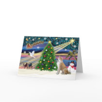 Xmas Magic-ShibaInu4 cards