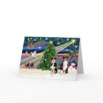 Xmas Magic-Tri-AussieShepPAIR-6-7 cards