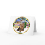 Xmas Magic (W) - Yorkshire Terrier