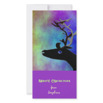 Xmas Reindeer photo cards by livart Xmas Reindeer photo cards