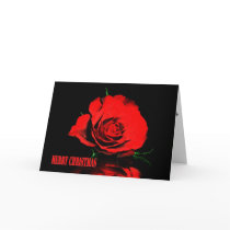 xmas rose XMAS CARD