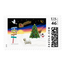 Xmas Signs - Sealyham Terrier 1 Stamp