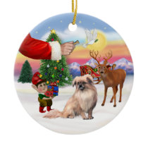 Xmas Signs - Tibetan Spaniel Ornaments
