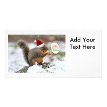 Xmas Squirrel in Snow Customized Photo Card