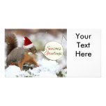 Xmas Squirrel in Snow Customized Photo Card