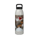 Xmas Squirrel in Snow Drinking Bottle