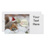 Xmas Squirrel in Snow Customized Photo Card