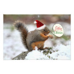 Xmas Squirrel in Snow Photograph