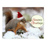 Xmas Squirrel in Snow Post Card