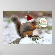 Xmas Squirrel in Snow Posters