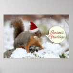 Xmas Squirrel in Snow Print