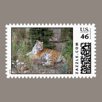 Xmas Tiger postage