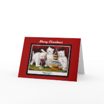 Xmas Vintage Card Merry Christmas Jolly Kittens